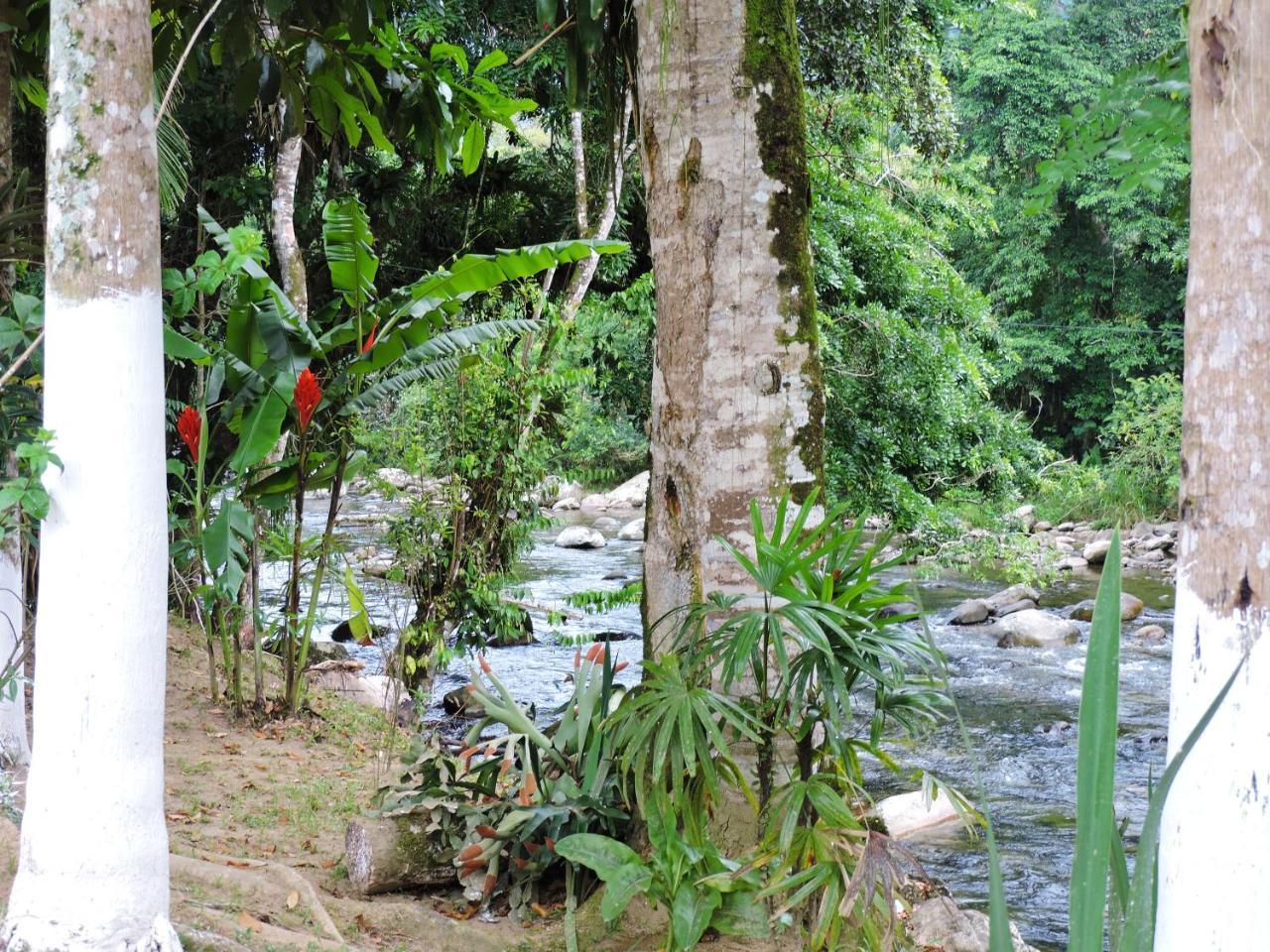 Pousada Da Cachoeira Taquari Araquari Exteriör bild